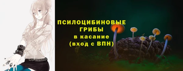 PSILOCYBIN Богородицк